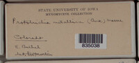 Image Associated With the Occurence